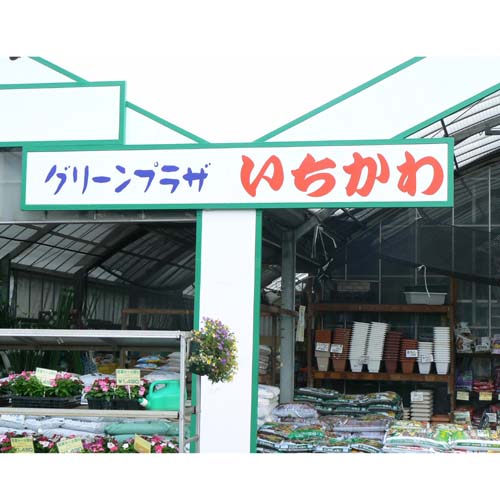 ���X�Ŕ� �J�b�e�B���O�V�[�g