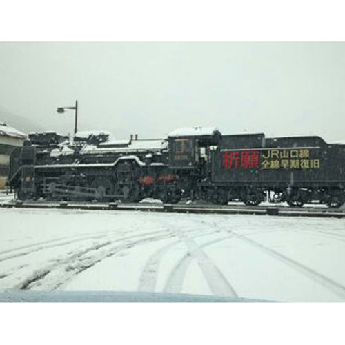 �@�֎� �}�O�l�b�g�V�[�g